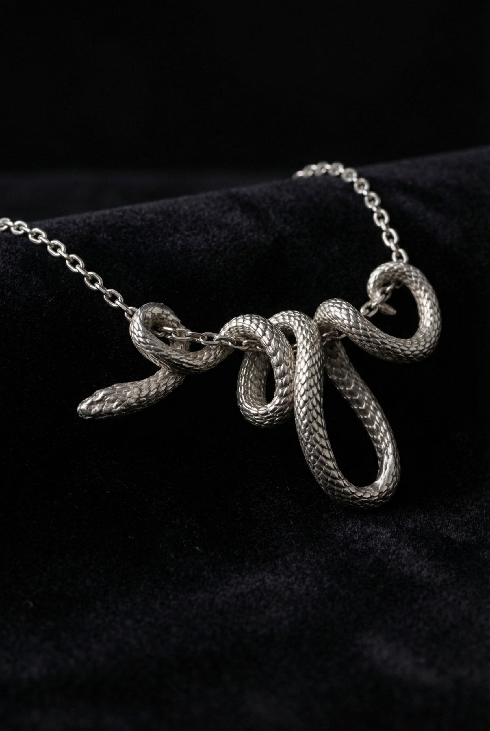 Ragnar’s Memoir - Winding Snake Necklace - Viking Trinkets