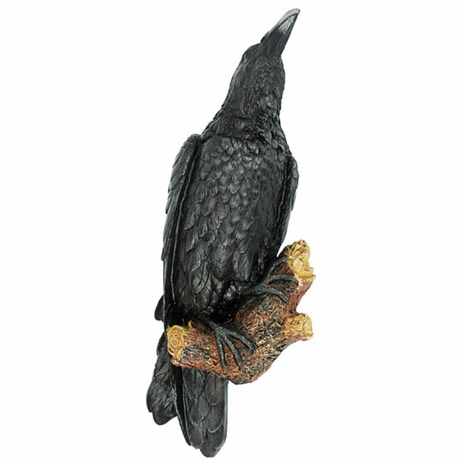 The All Seeing Eyes - Black Raven Resin Wall Hanging Sculpture