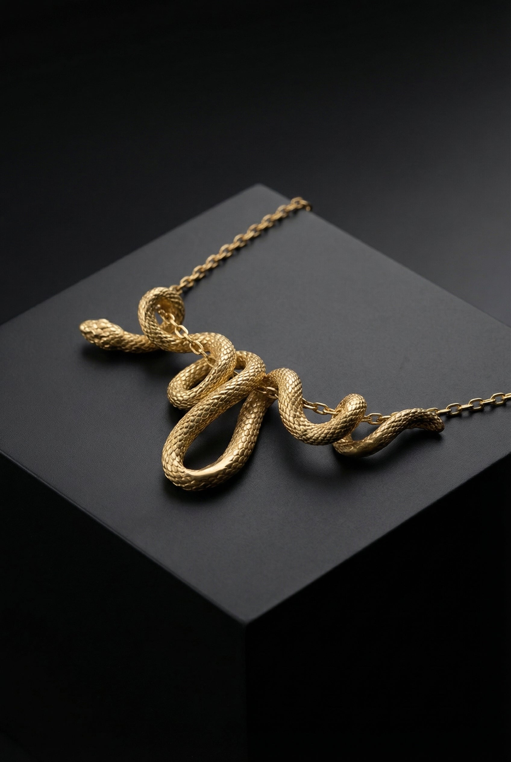 Ragnar’s Memoir - Winding Snake Necklace - Viking Trinkets