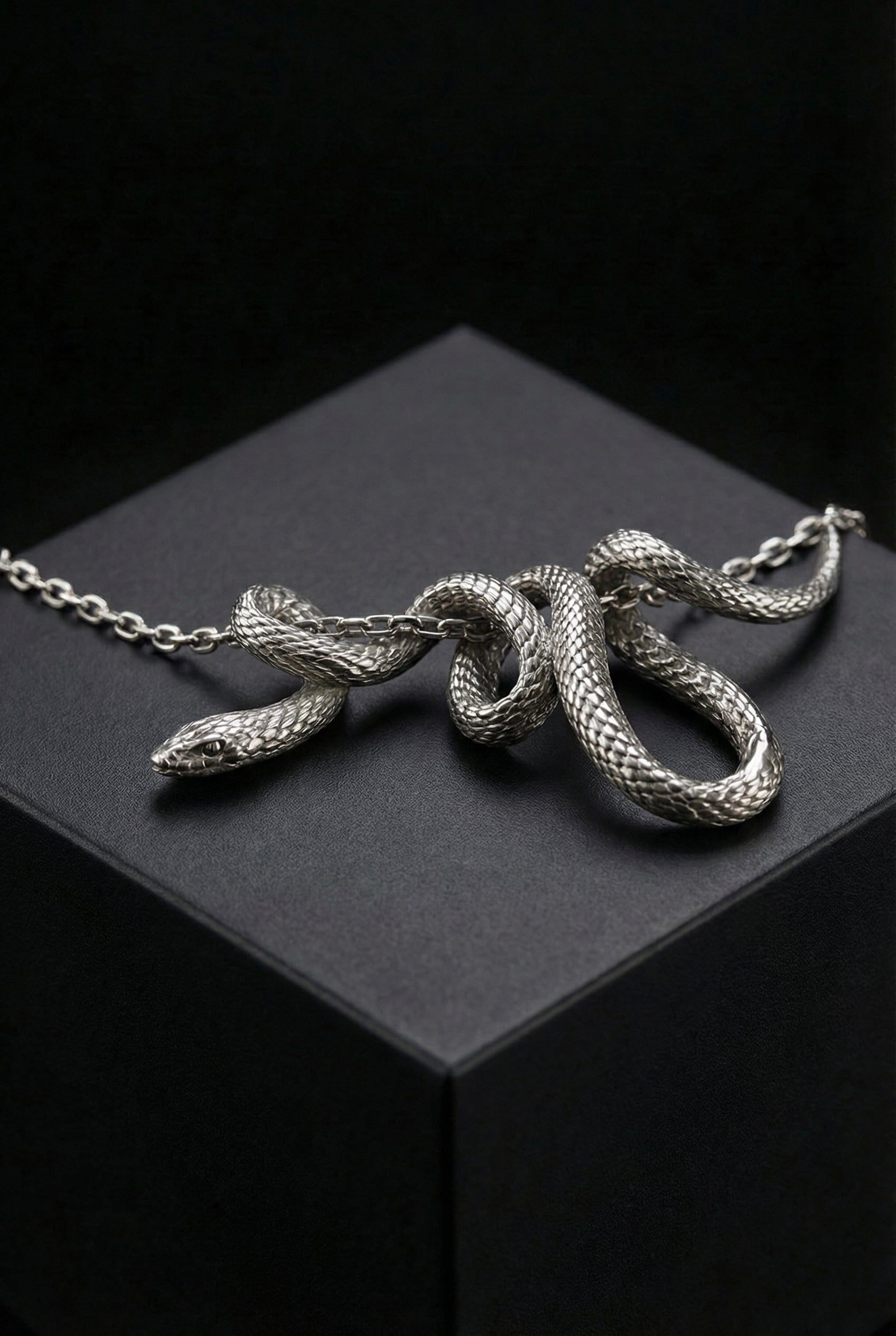 Ragnar’s Memoir - Winding Snake Necklace - Viking Trinkets
