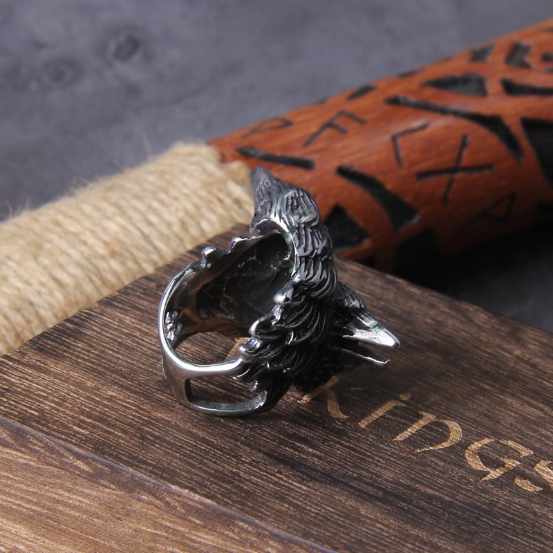Huginn and Muninn